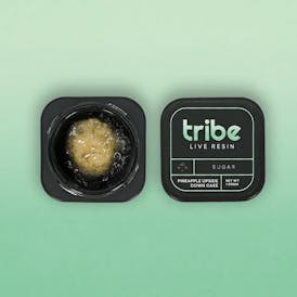 TRIBE LIVE RESIN SUGAR | BISCUITS & HONEY - HYBRID (1G)