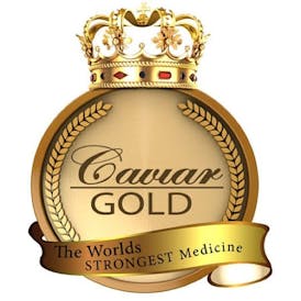 CAVIAR GOLD CAVI CONE | CAVI LAND - HYBRID (1.3G)
