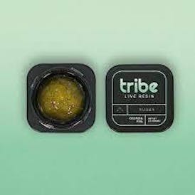 LIVE SUGAR BALLER JAR | JOLLY BUDDER - INDICA (3.5G)