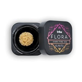 TRIBE FLORA LIVE HASH ROSIN | OMNI FIRE OG/COSMO - HYBRID (1G)