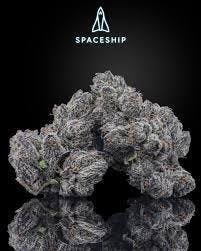 DYOR | Big Buds | 3.5g