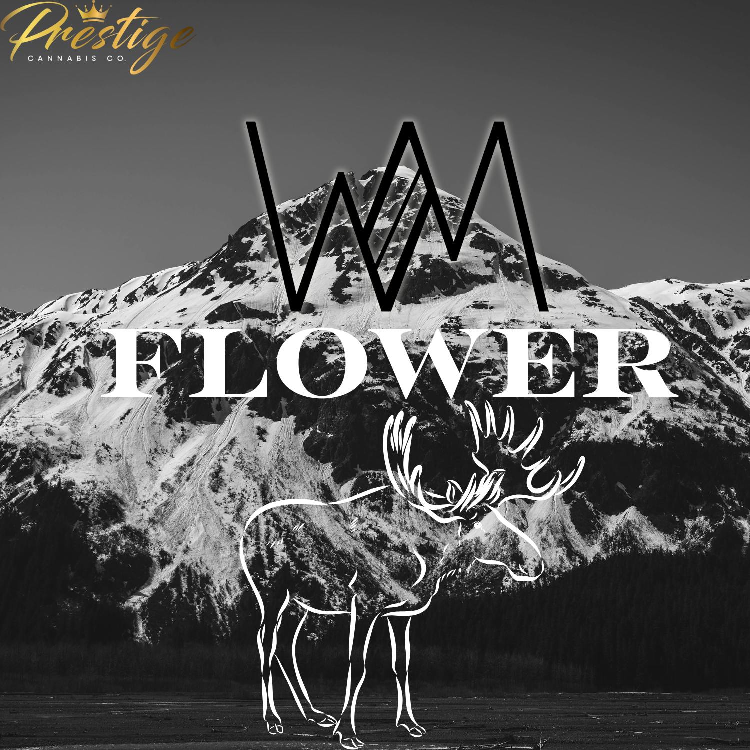 4 ~ PRIVATE RESERVE | WHITE MOUSSE | TOAD VENOM - INDICA (3.5G)