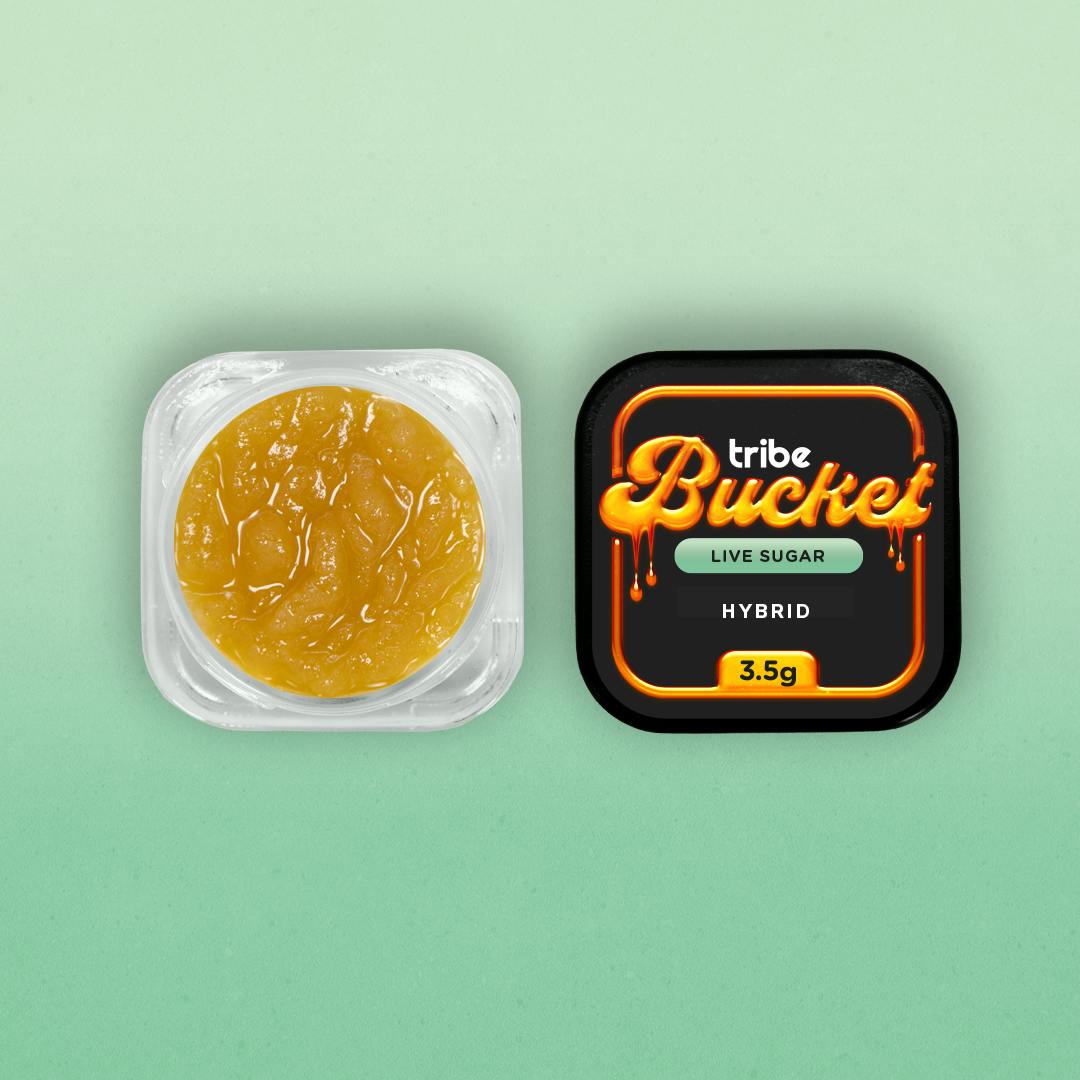 Tribe | Headband Poundcake | Live Sugar Bucket | 3.5g