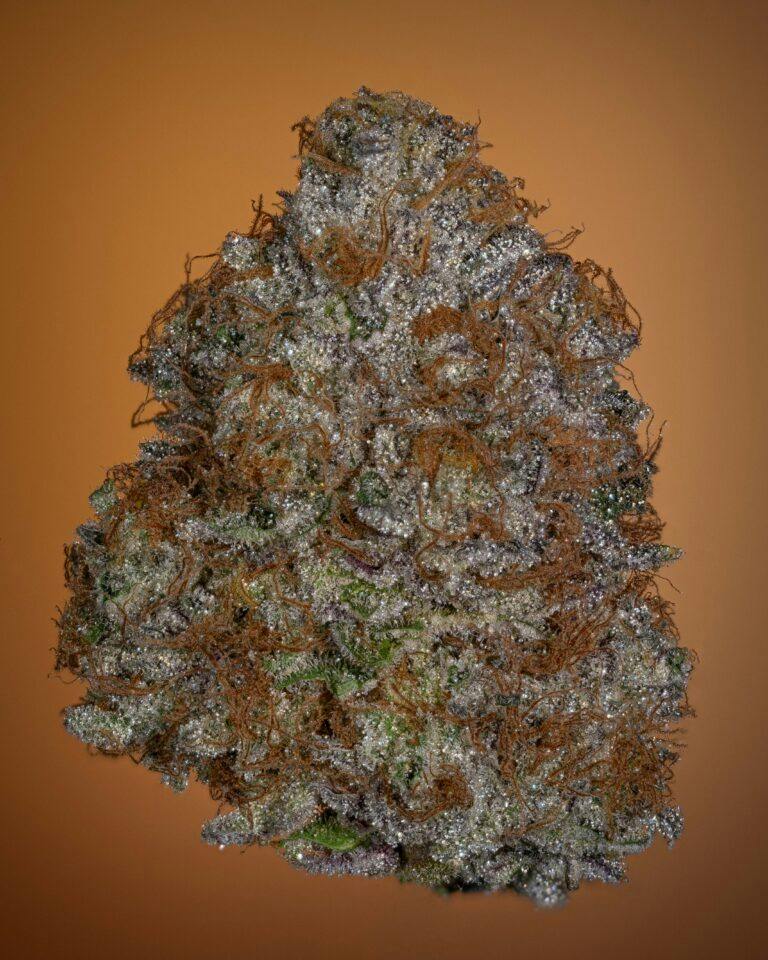 1 ~ EXOTIC THICC CANNABIS | ZALENA - HYBRID (3.5G)
