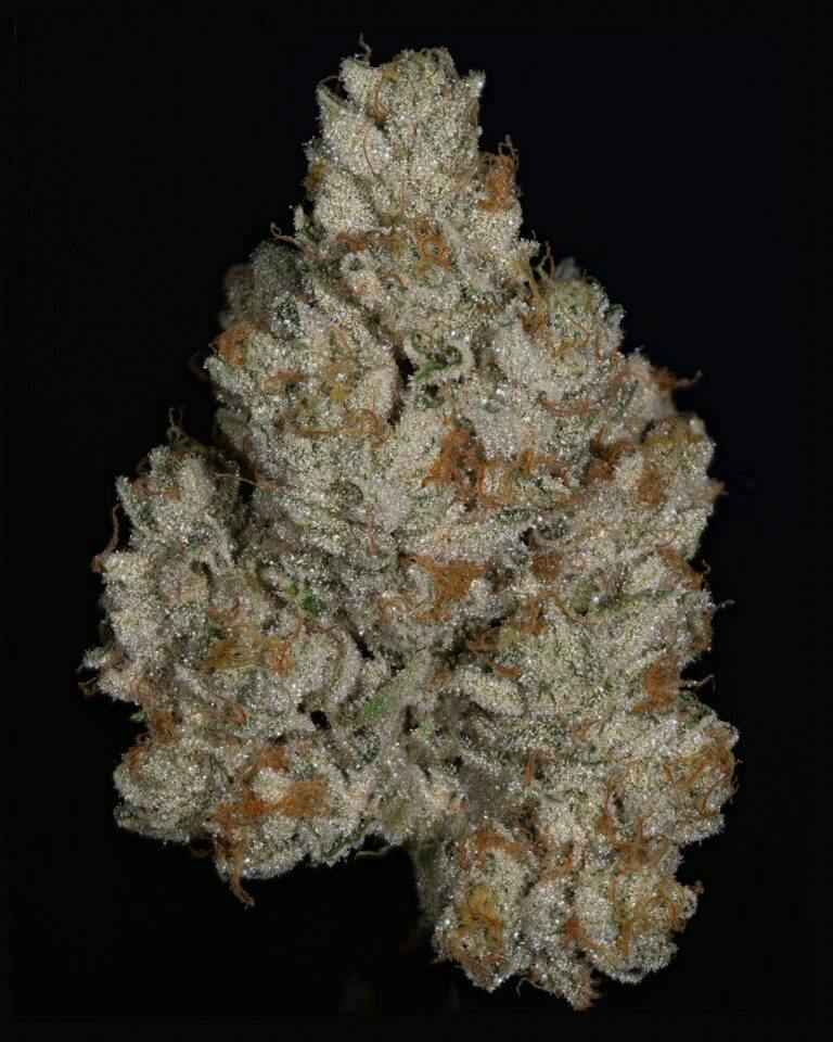 THICC EXOTIC | MAGIC STRAWS #2 - HYBRID (3.5G)
