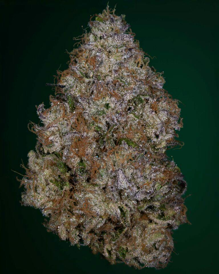 OCD CULTIVATION SUPREME | RIPPED OFF RUNTZ - HYBRID (3.5G)