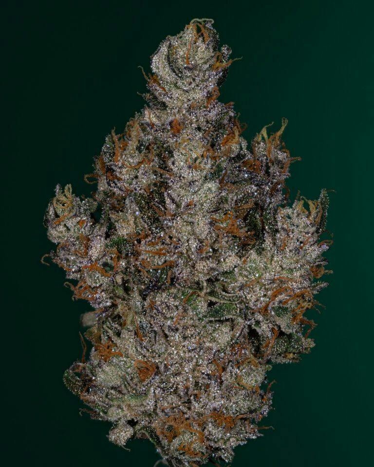 THICC EXOTIC | MAGIC STRAWS #1 - HYBRID (3.5G)