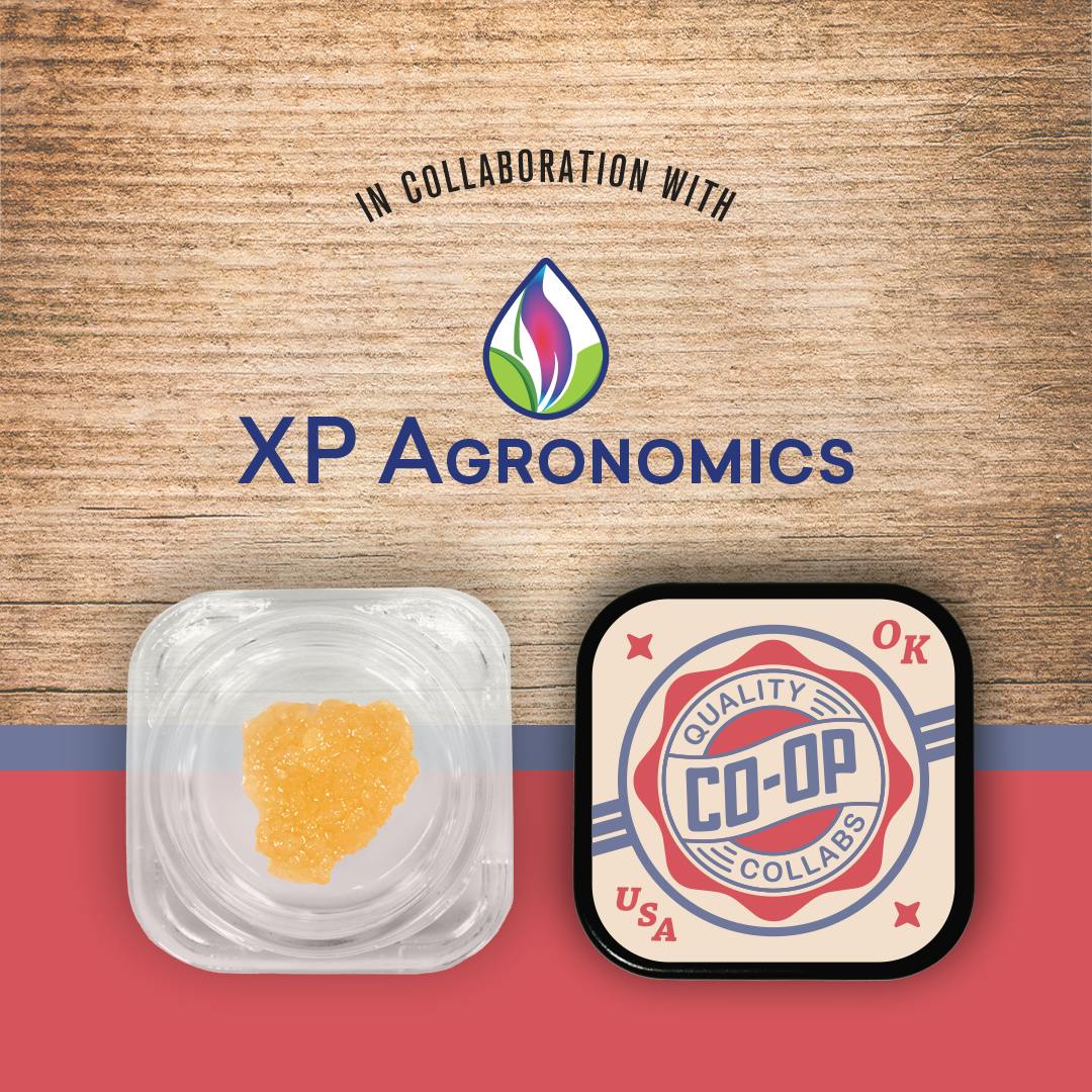CO-OP x XP Agronomics | Gelato King | Sugar | 10g