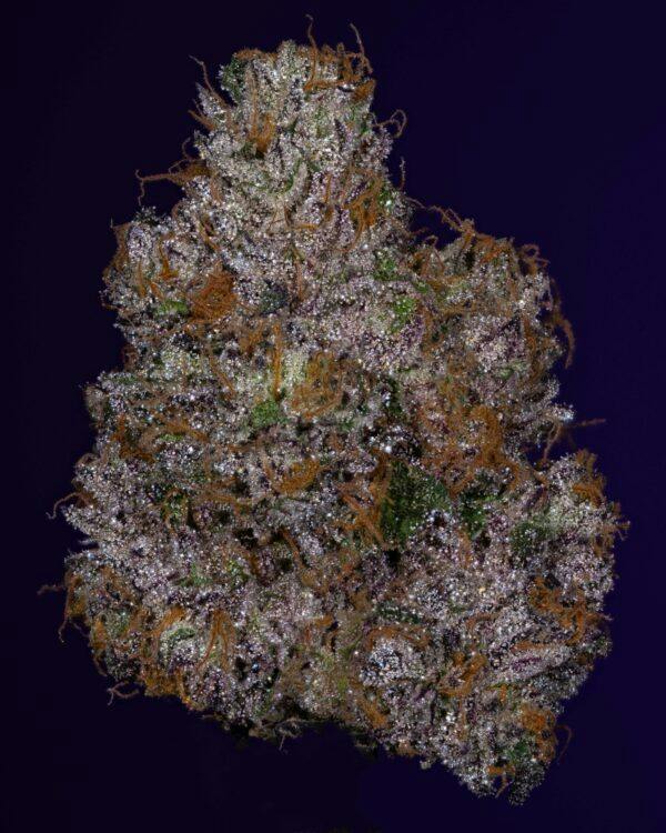 Black Maple | 3.5g