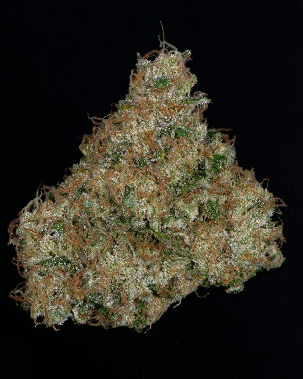 THICC EXOTIC | MOON CRUSHER - HYBRID (3.5G)