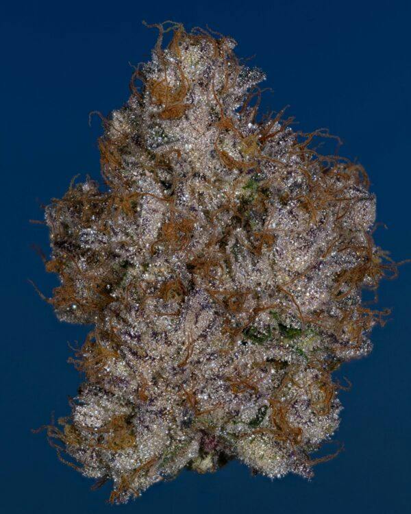 THICC EXOTIC | SOUR SMURF - SATIVA (3.5G)