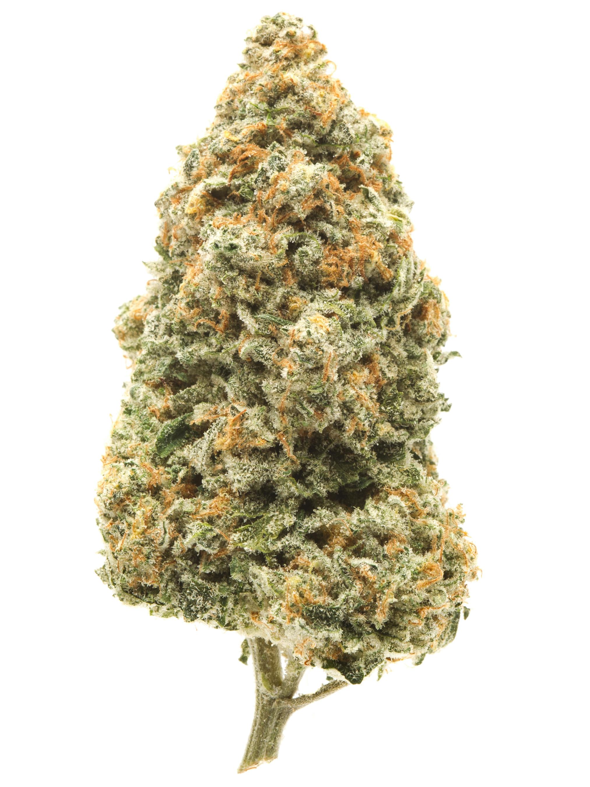 1~ EXOTIC | ALGOMA FARMS | MAUI WOWIE - SATIVA (3.5G)