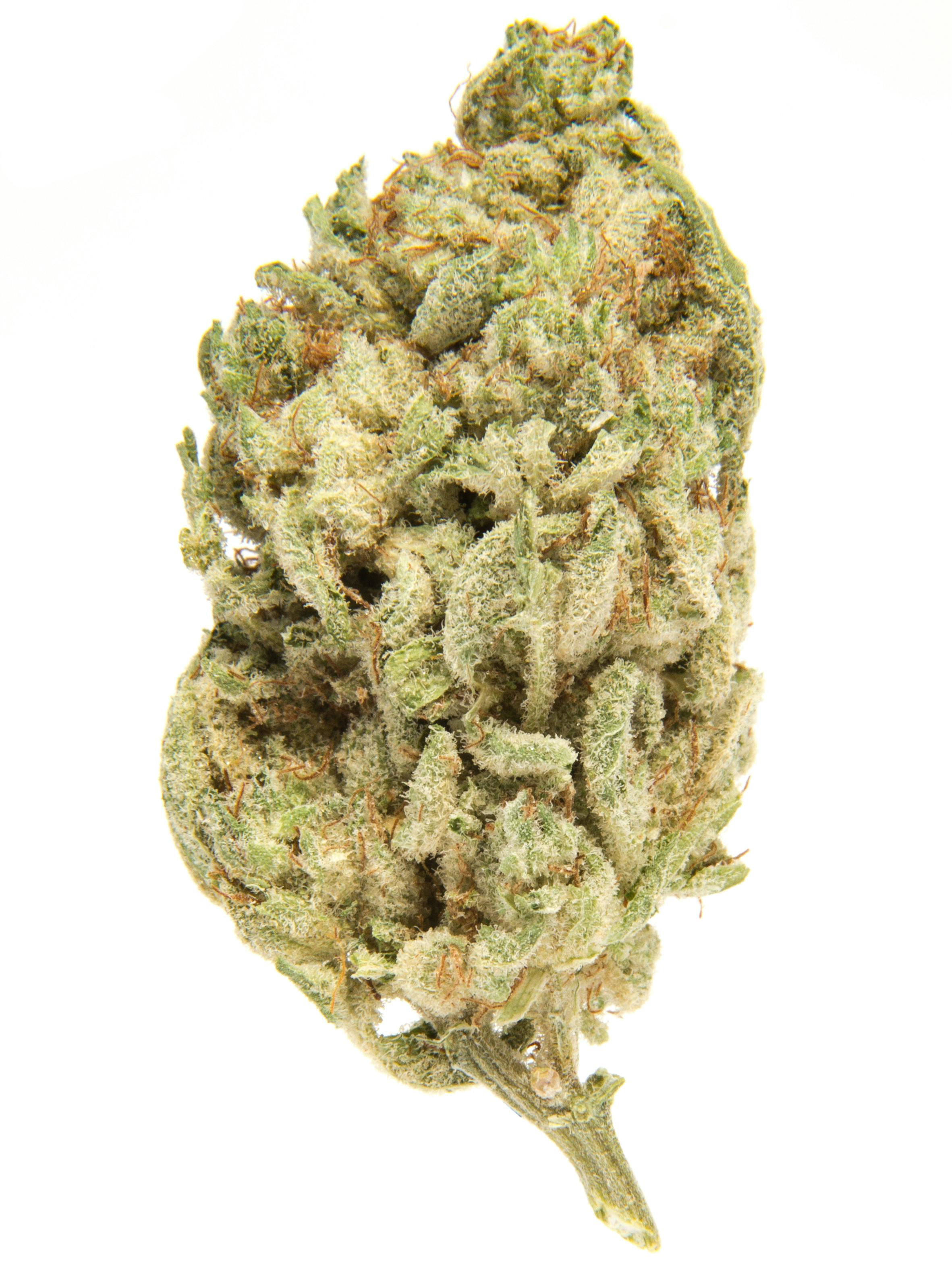 3 ~ EXCLUSIVE | BURLY BOTANICALS | Z MARKER - HYBRID (3.5G)