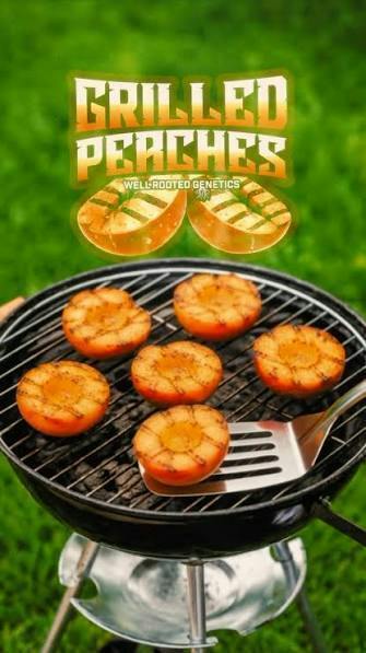 WELL ROOTED GENETICS SUPREME | GRILLED PEACHES - HYBRID (3.5G)