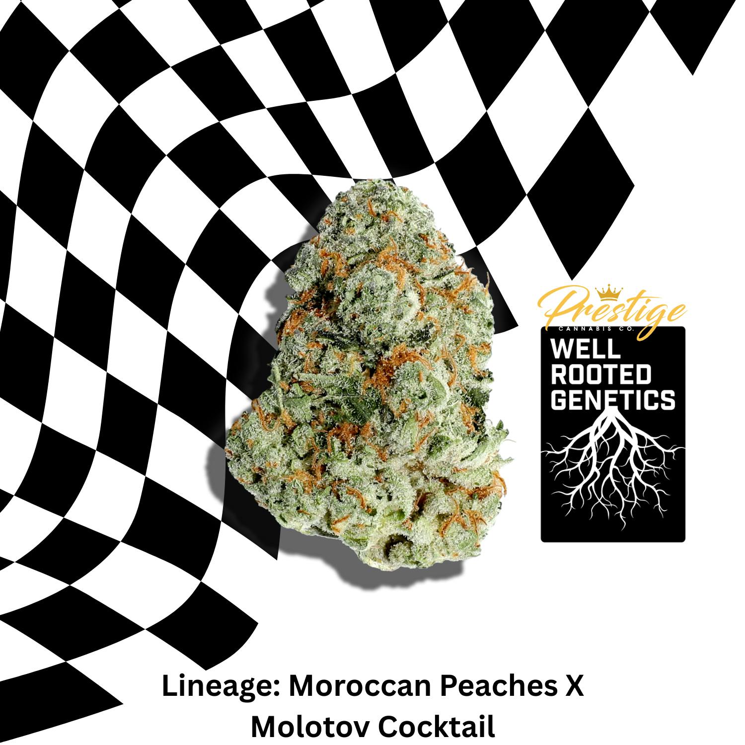 2 ~ SUPREME | WELL ROOTED GENETICS | GRILLED PEACHES - HYRBID (3.5G)