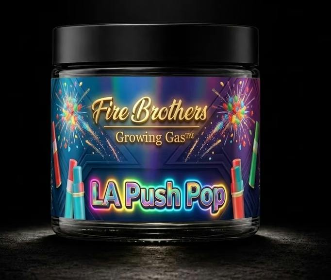 1 ~ EXOTIC | FIRE BROTHERS | LA PUSH POP - HYBRID (3.5G)