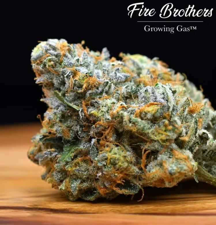 1 ~ EXOTIC | FIRE BROTHERS | CHEM DAWG - INDICA (3.5G)