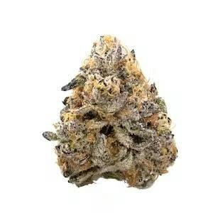 1/8 | Garlic Breath 2.0 | H.B.