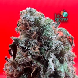 Granny Mac (PRICH) **Real G's** 5g X $17