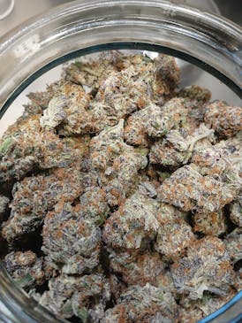 NUCLEAR SLURPEE | HOMEGROW 🏡
