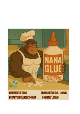 NANA GLUE | HOMEGROW 🏡