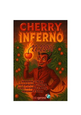CHERRY INFERNO | HOMEGROW 🏡| 5g x $20