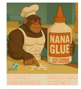 NANA GLUE HOMEGROW 🏡