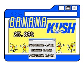 BANANA KUSH HOMEGROW FLOWER 🏡