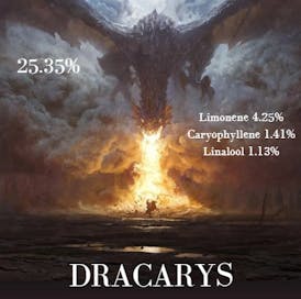 Dracaris Flor