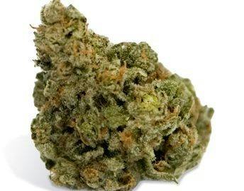 Exotic Gas - The Loud Plug