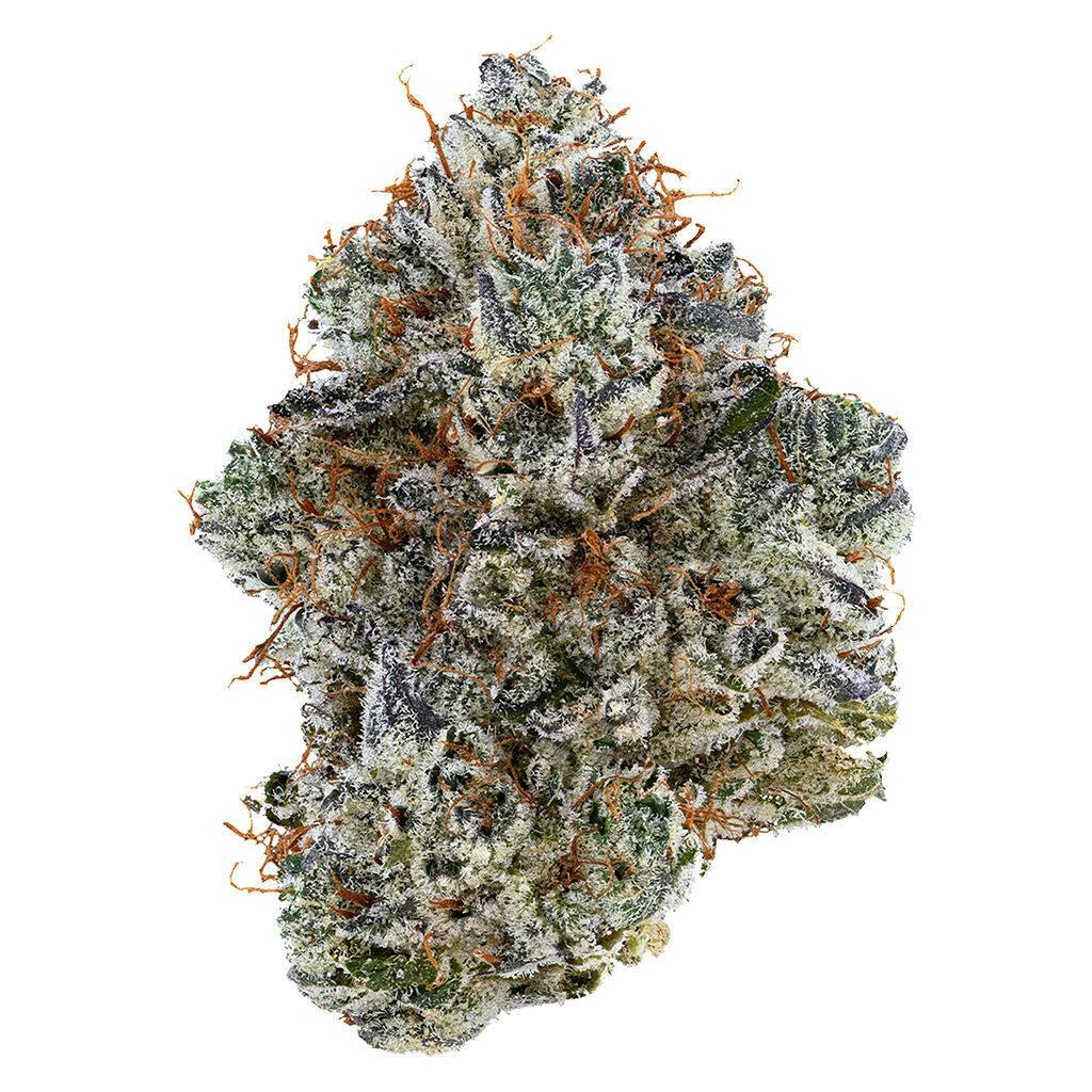 Neon Sunshine 3.5G