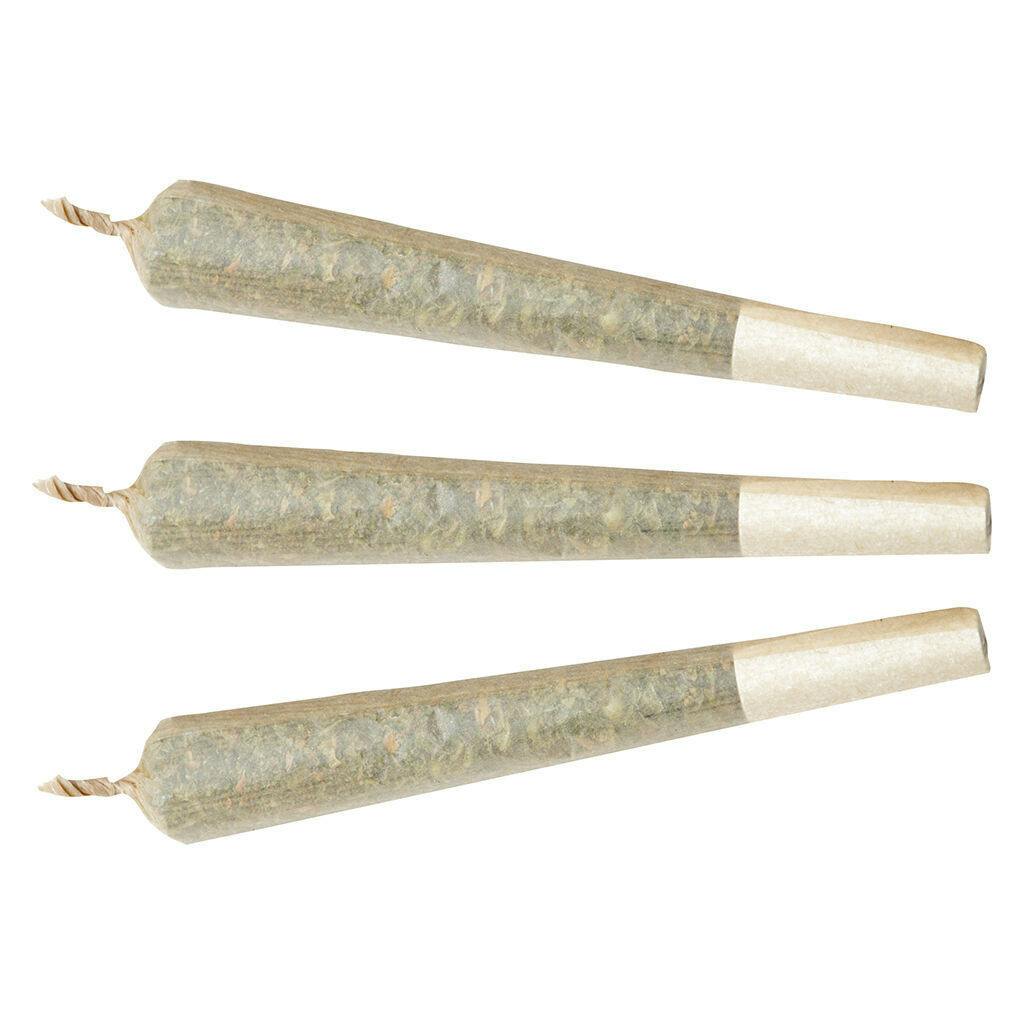 Watermelon G-Bear | Infused Joints | 1g