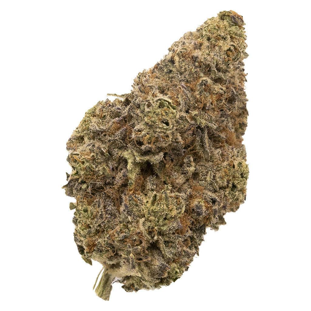 FIGR | Chatty Kathy | Flower | 3.5g