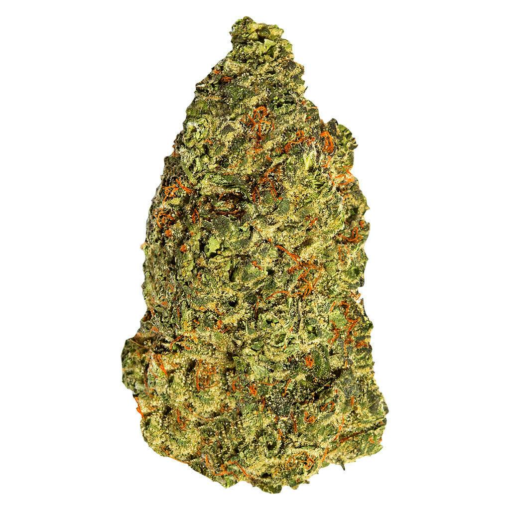 Turbo Diesel Flower