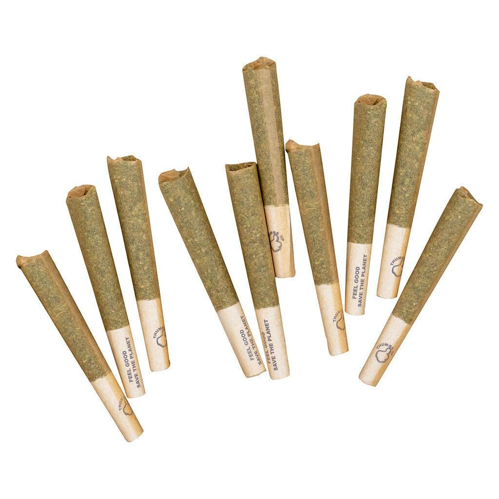 Sativa - Indica Variety Pack Pre-Roll/ 10x0.5g- Thumbs Up