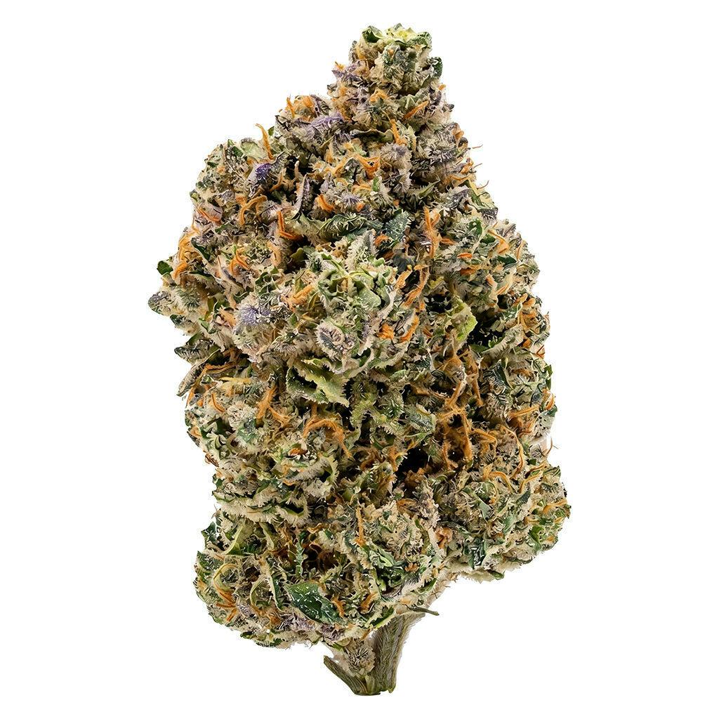 PayLess Sativa - PayLess