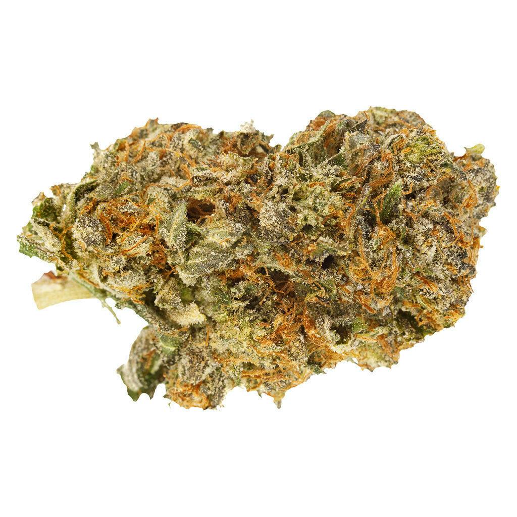 P.O.P. Craft Whole Flower - Qwest