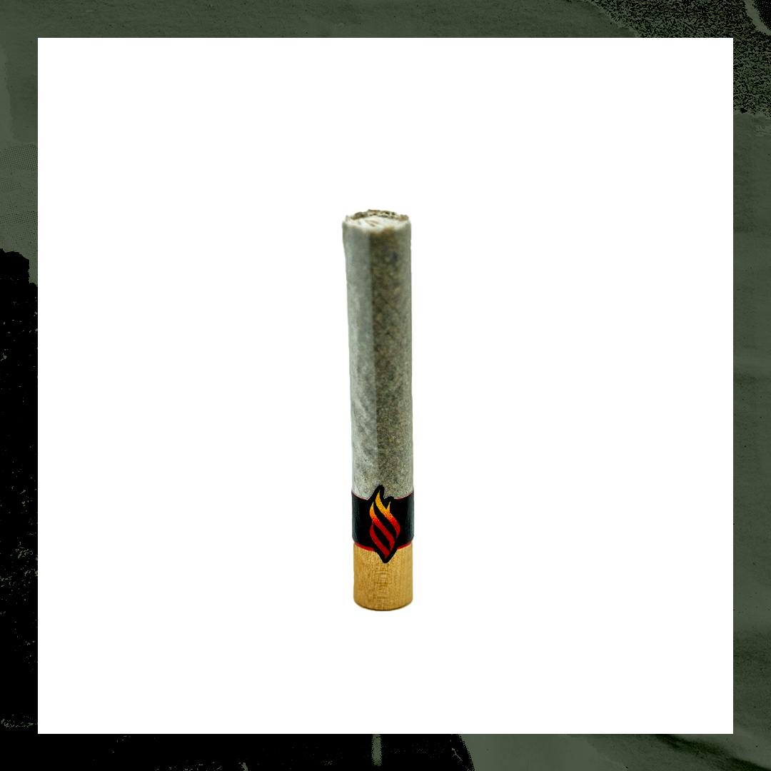 2g Fatboy- Castaway Pre-Roll by Denali Fire (24%)