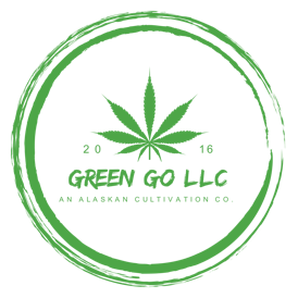Dosido | 2pk .5g flower joint | by Green Go