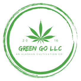 Mango Mojito | 1pk .5g Sugar Leaf Joint | by Green Go