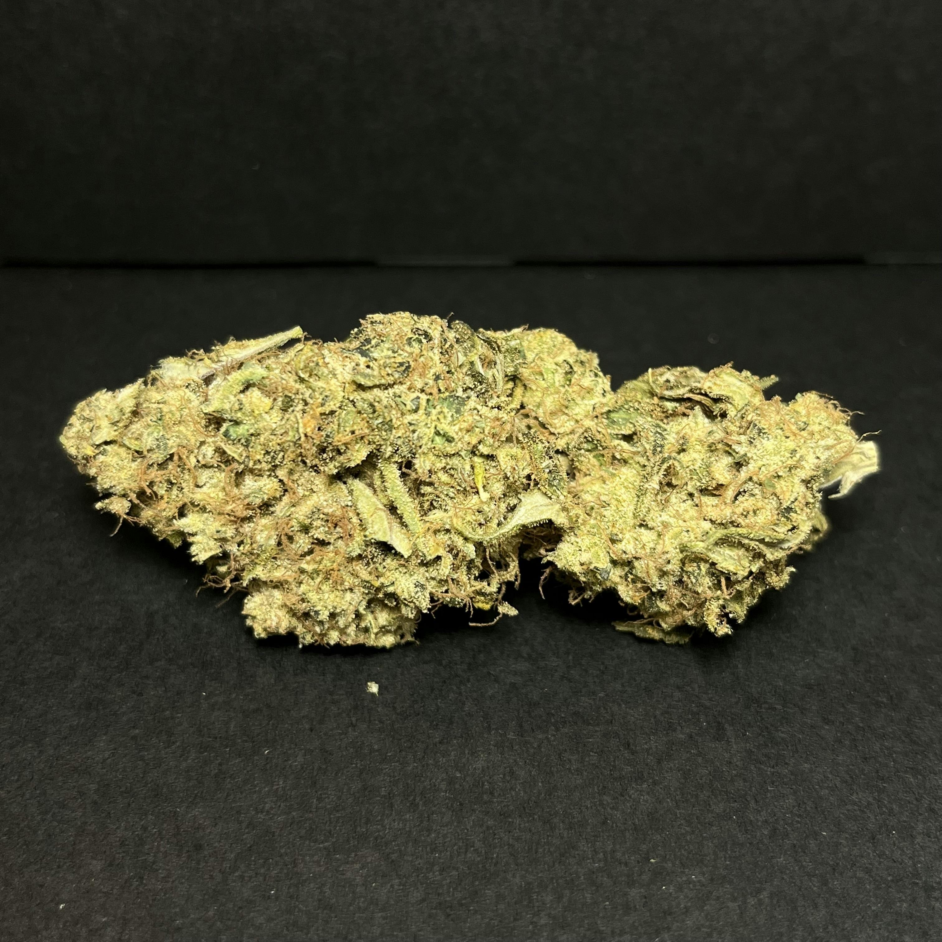 Kev's Chem Dawg