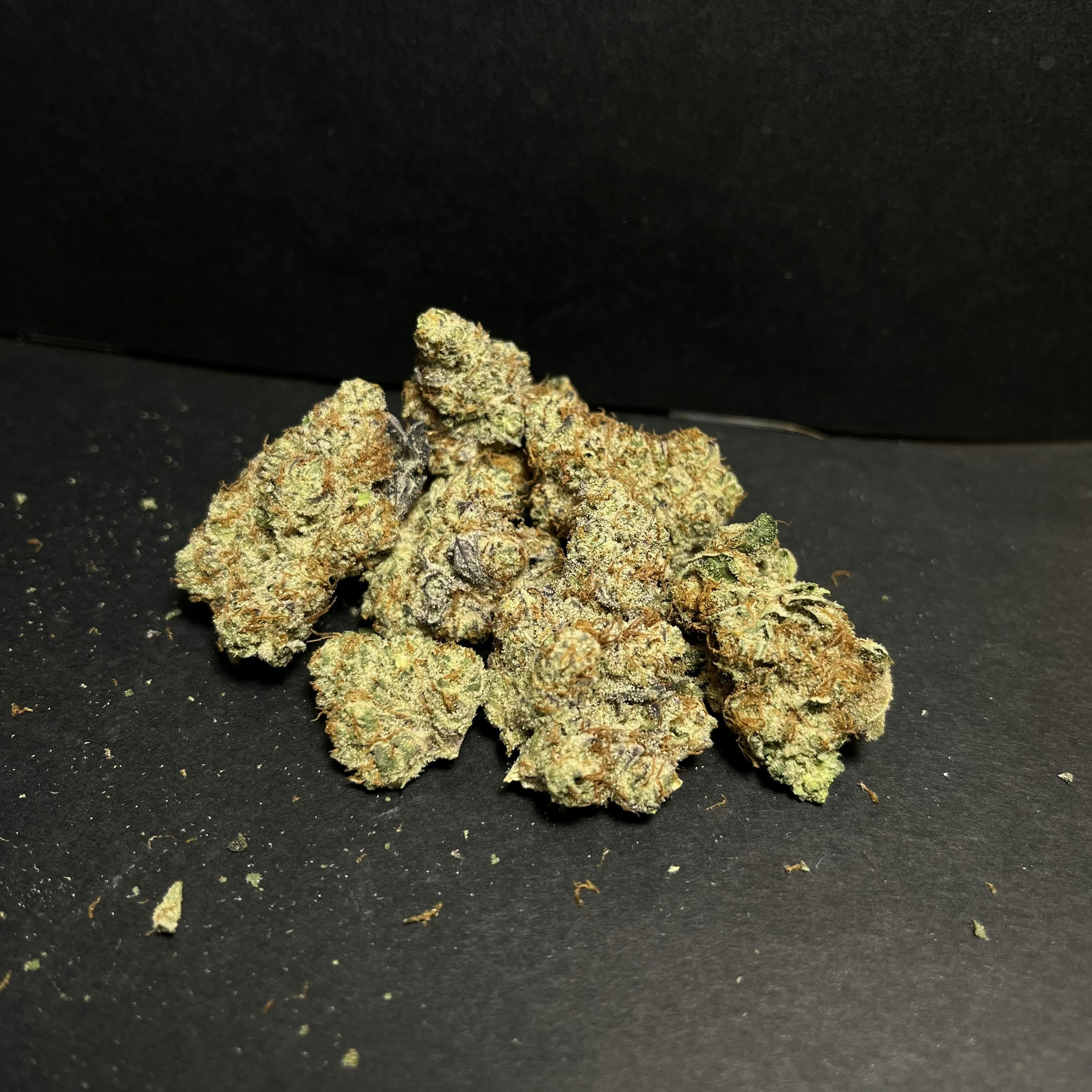 Peach Crescendo Bud