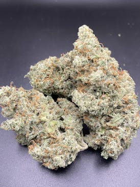 MAC & Jack (MAC 1 x 1994 Jack Herer)