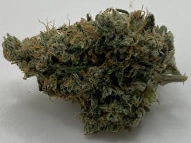 GHOST TRAIN HAZE👻🚂