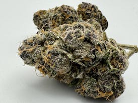 ZKITTLEZ BOMB 🌈~ Forbidden Zkittlez x Sunset Sherbert