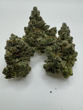 G13 Skunk 🦨