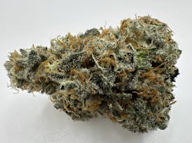 JellyCat (Mind Reaper x Runtz de Frutas)~New Strain