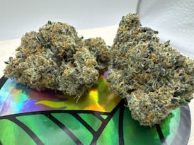Zpice = (apricot yahemi x Medellin) x space runtz)~New Strain