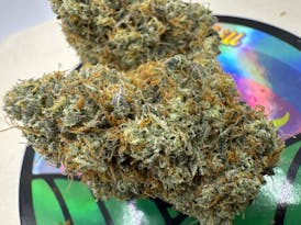 Vanilla Frosting~New Strain