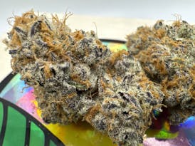 PEAK PUNCH (Smarties (Mendo cut) x Strawberry Lemonade)~ New Strain